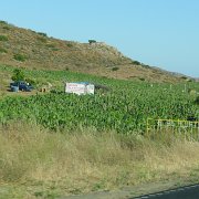 Baja2011 080 : Baja2011